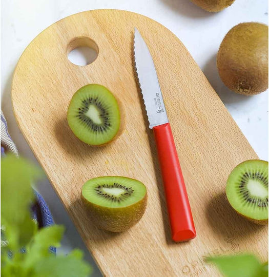 Opinel Les Essentiels Μαχαίρι Γενικής Χρήσης από Ανοξείδωτο Ατσάλι 10.16cm
