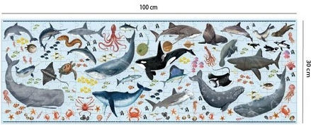 Παιδικό Puzzle 200pcs Apli Kids