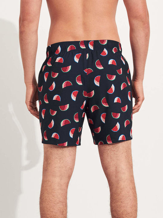 Hollister Hollister