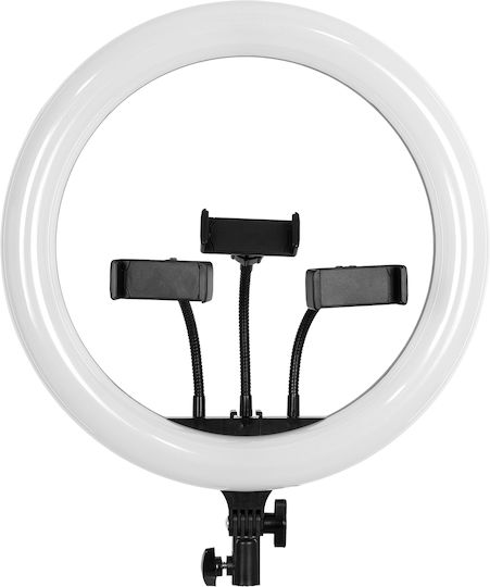 GloboStar RGB Ring Light 36cm 3000 - 6000K with Mobile Holder