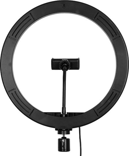 GloboStar RGB Ringlicht 30cm mit Halterung für Handy