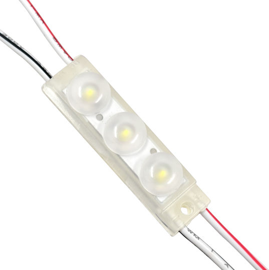 GloboStar LED Module 12V 1W Ψυχρό Λευκό 20τμχ 73709