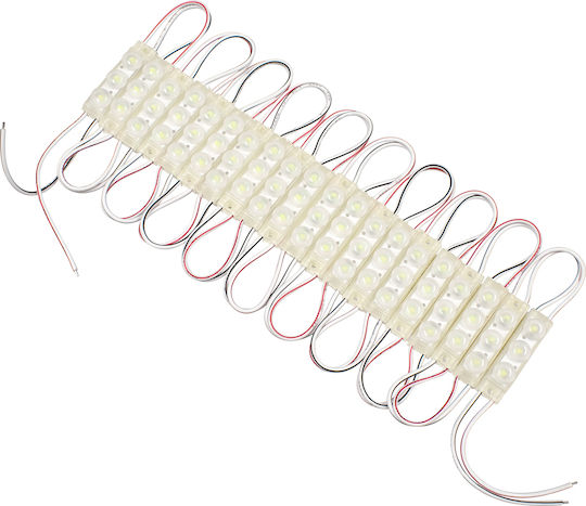 GloboStar LED Module 12V 1W Ψυχρό Λευκό 20τμχ 73709