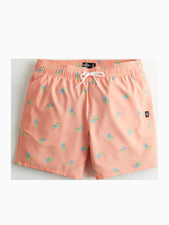 Hollister Hollister
