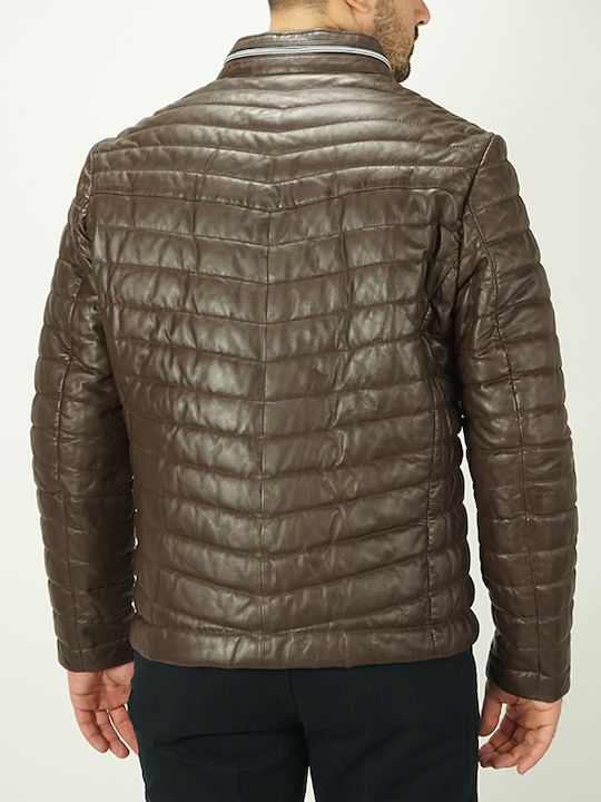 Winter Jacke Puffer Brown