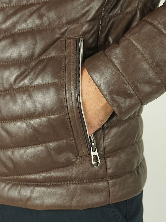 Winter Jacke Puffer Brown