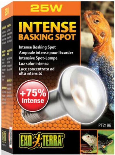 Exo Terra Intense Basking Spot Accessory for Reptiles Terrarium