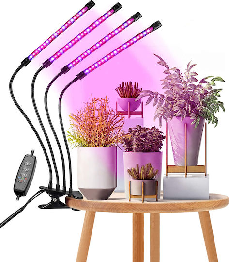 GloboStar Desk Grow Light with LED and Power 80W L100xW100cm.