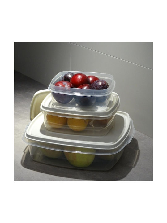 Viomes Microwave Plastic Lunch Box Transparent 17x17cm