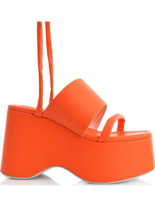 Kat Maconie Kat Maconie
