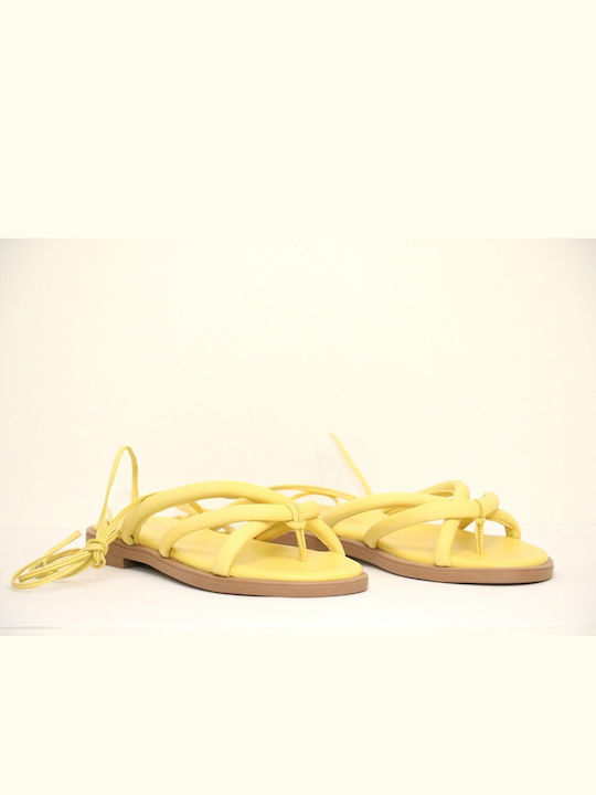 Anteos