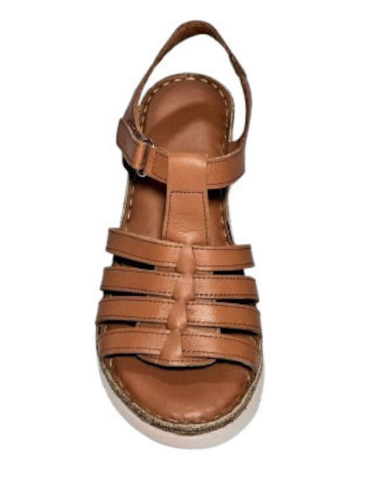 Anatomic Women's Leather Platform Shoes Tabac Brown