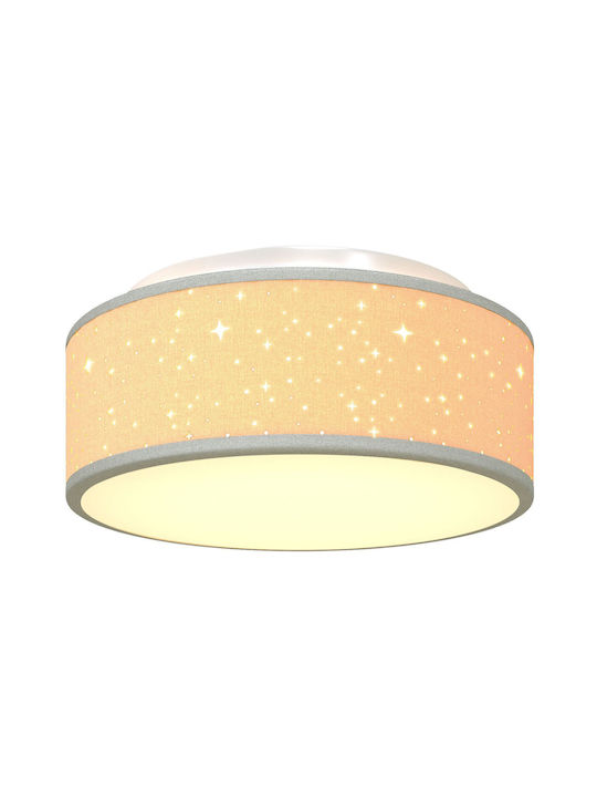 vidaXL Ceiling Mount Light 30cm Gray with Socket E27
