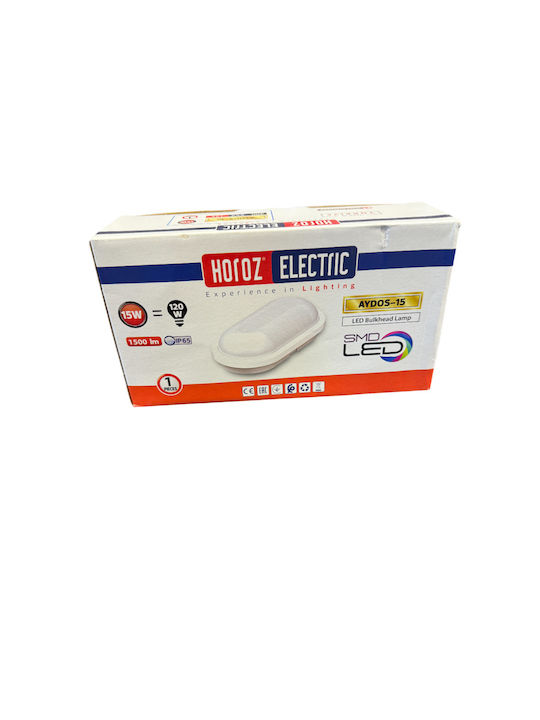 Horoz Electric Lumină de exterior montată pe perete LED cu Alb Rece Lumină