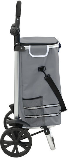 Metallisch Einkaufswagen Klappbar Gray 21x21x100.5cm