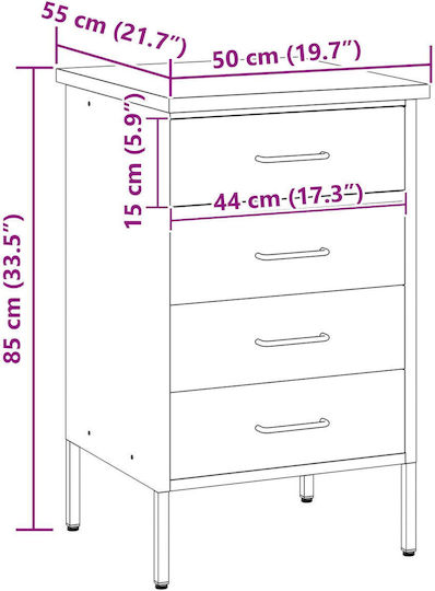 Laboratory Cabinet Red 50x55x85 cm Steel Red 4103461