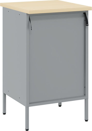 Laboratory Cabinet Red 50x55x85 cm Steel Red 4103461