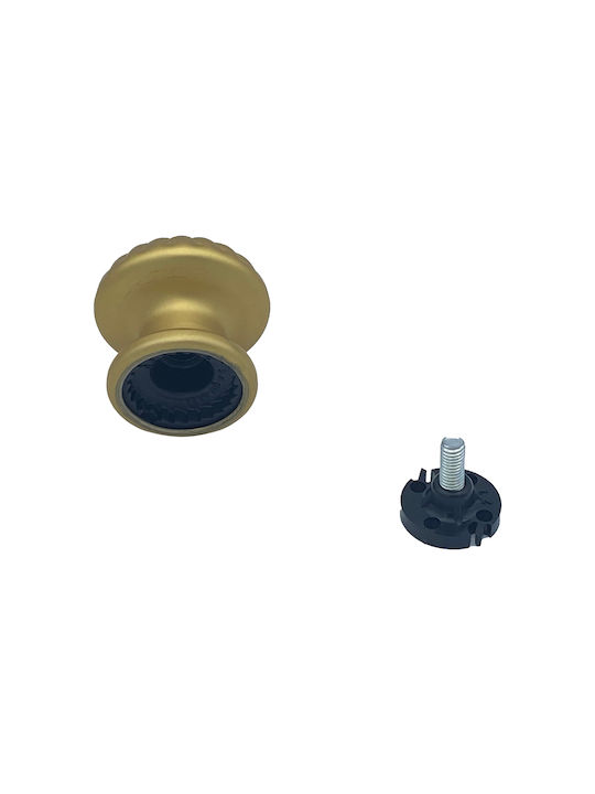 Saguatti Μπουλ Εξώπορτας Satin Gold
