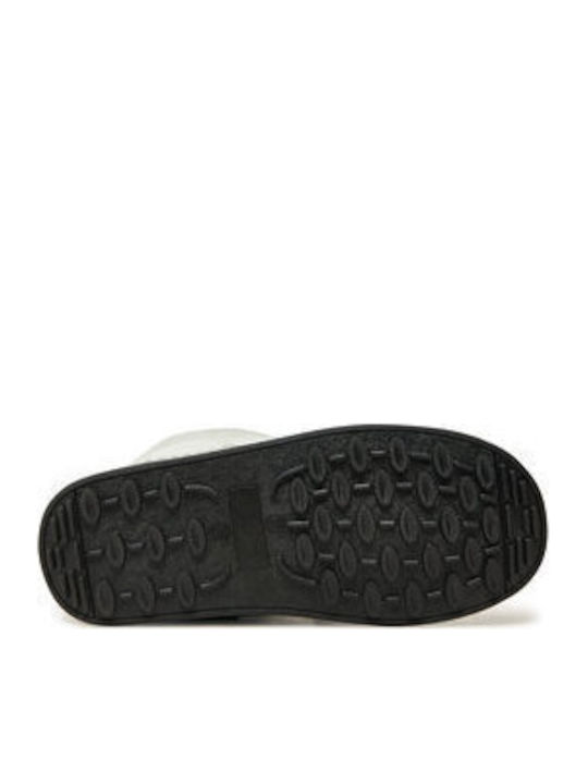 Pollini