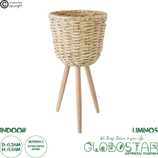 GloboStar Artificial Garden Limnos Planter Wicker Beige 37x37x56cm.