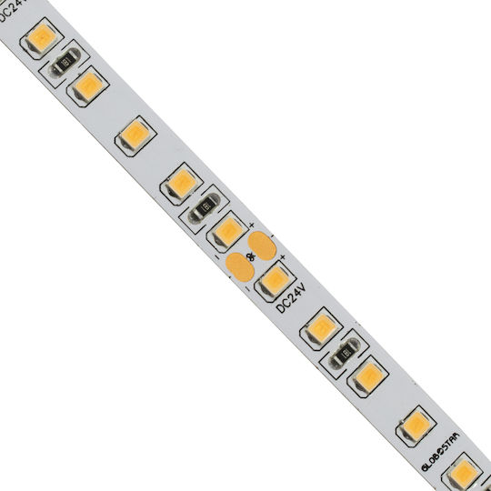 GloboStar Ταινία LED 24V Ροζ Φως 5m Τύπου SMD2835