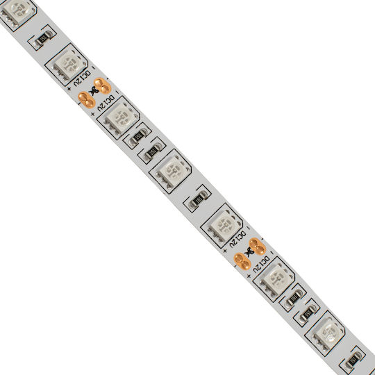 GloboStar Bandă LED 12V Violet Lumină 5m Tip SMD5050