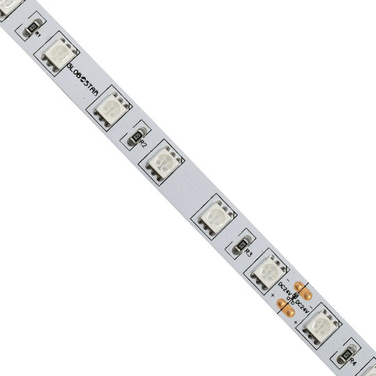 GloboStar LED Strip 24V Green Light 5m Type SMD5050