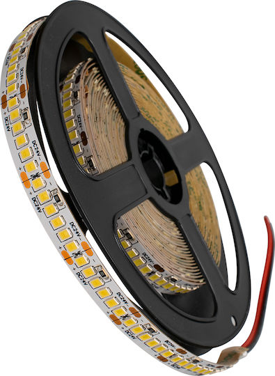 GloboStar Ταινία LED 24V Θερμό Λευκό Φως 5m Τύπου SMD2835