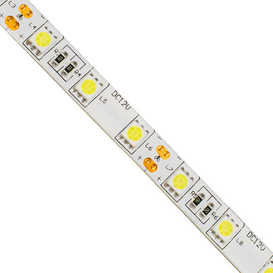 GloboStar Αδιάβροχη Ταινία LED 12V Ψυχρό Λευκό Φως 5m Τύπου SMD5050