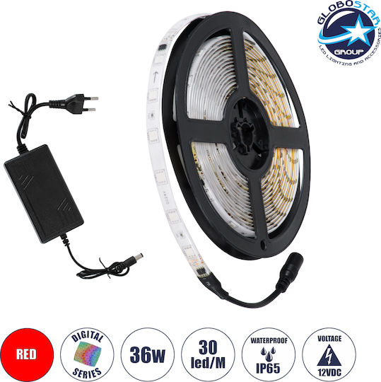 GloboStar Wasserdicht LED-Streifen 12V Rot Licht 5m Typ SMD5050 mit Netzteil