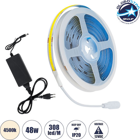 GloboStar Ταινία LED 12V Φυσικό Λευκό Φως 5m Τύπου COB με Τροφοδοτικό