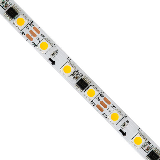 GloboStar Ταινία LED 12V Θερμό Λευκό Φως 5m Τύπου SMD5050