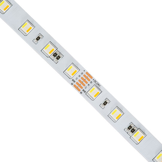 GloboStar Ταινία LED 24V RGBW Φως 5m Τύπου SMD5050