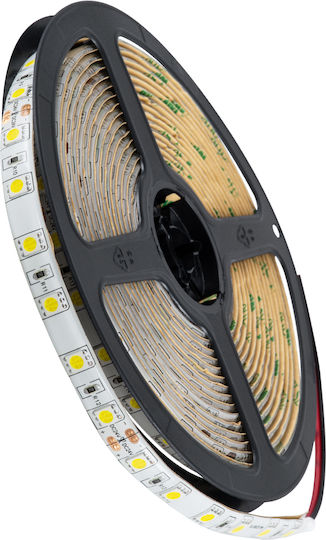 GloboStar Waterproof LED Strip 24V Natural White Light 5m Type SMD5050 with Remote Control