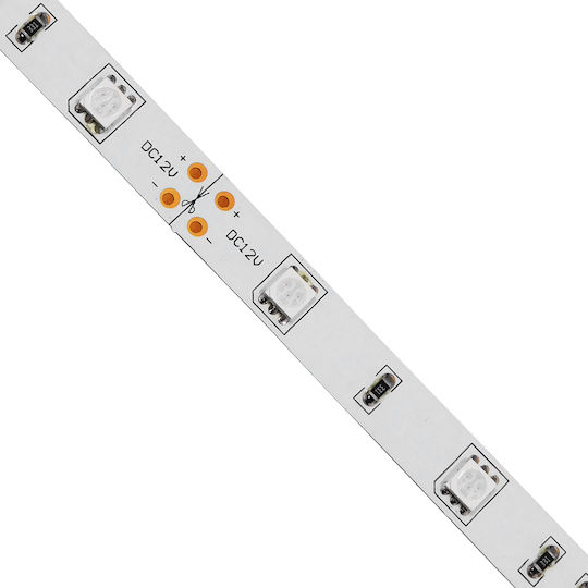 GloboStar LED Strip 12V Red Light 5m Type SMD5050