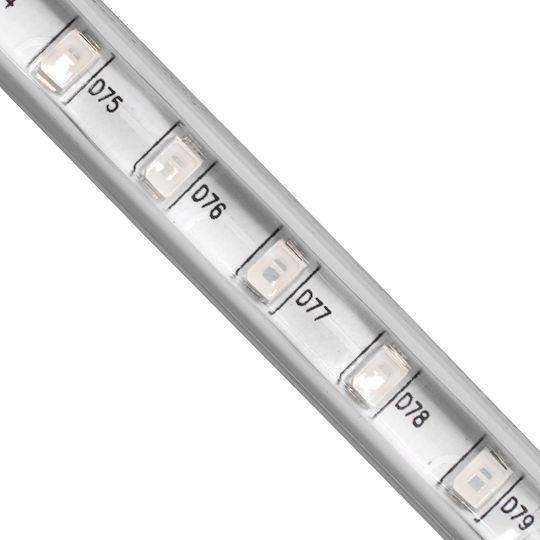 GloboStar Αδιάβροχη Ταινία LED 220V Μπλε Φως 1m Τύπου SMD2835