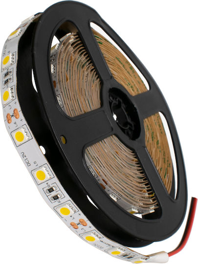 GloboStar Ταινία LED 12V Θερμό Λευκό Φως 5m Τύπου SMD5050