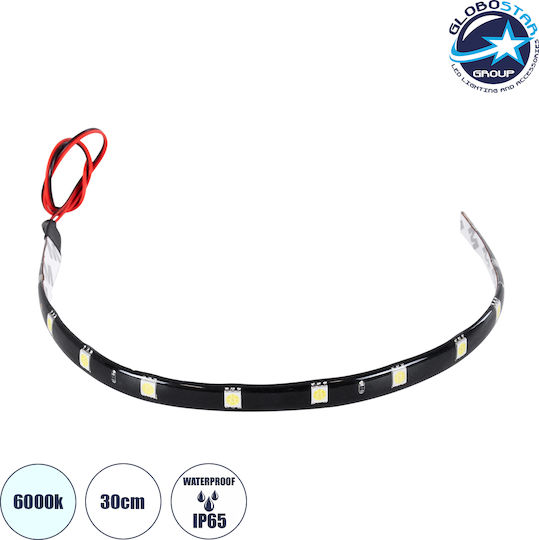 GloboStar Waterproof LED Strip 12V Cold White Light 0.3m Type SMD5050
