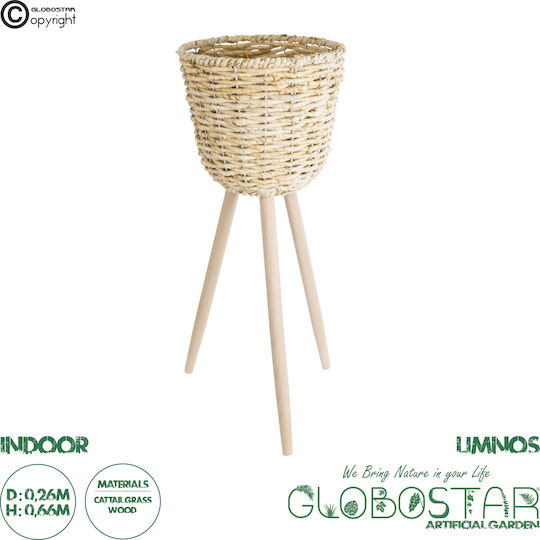 GloboStar Artificial Garden Limnos Саксия Дърво Бежов Със стойка 26x26x66εκ.