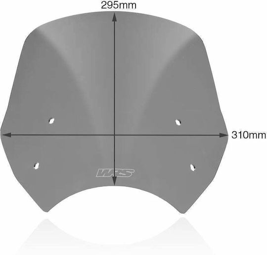 WRS Getöntes Visier Motorrad BE005FS