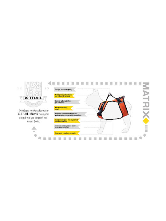 Max & Molly Xtrail Matrix Splash Оранжева Средна Каишка