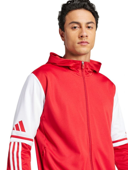 Squadra 25 Sweatshirt Red