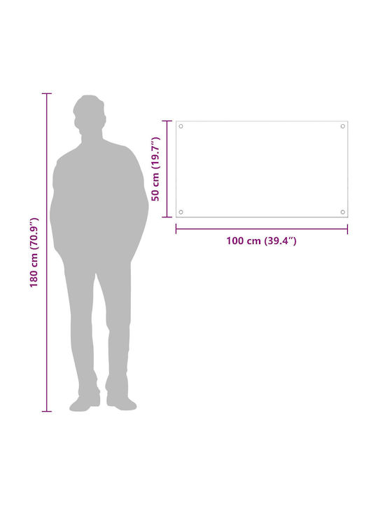 vidaXL Rectangular Back Made of Dark Gray Glass 100x50x0.6cm 42001248