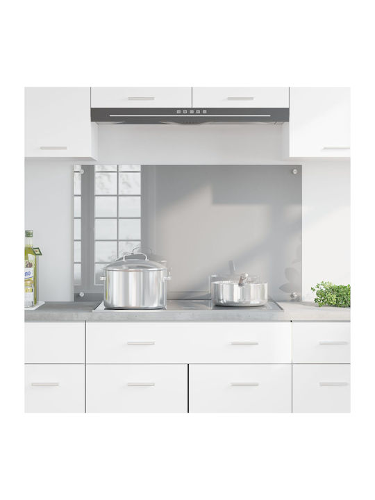 vidaXL Πλάτη από Γυαλί 100x60x0.6cm 42001237 vidaXL Πλάτη από Γυαλί 100x60x0.6cm 42001237