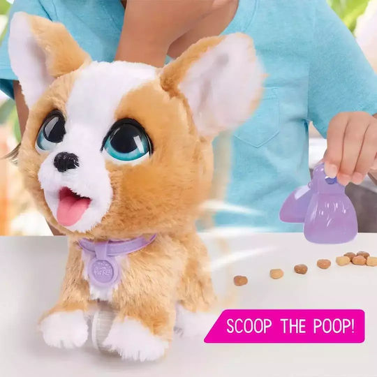 Hasbro Plush Furreal Poopalots with Motion Corgi for 4+ Years 23 cm