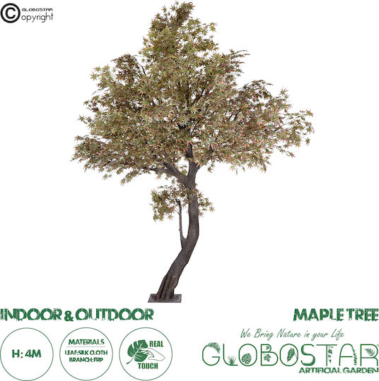 Σφένδαμος Εξωτερικού Χώρου 400cm σε Γυάλα GloboStar