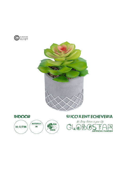 Globostar? Artificial Garden Succulent Sedeveria 21095 Διακοσμητικό Φυτό Παχύφυτο Σεντεβέρια Υ17cm