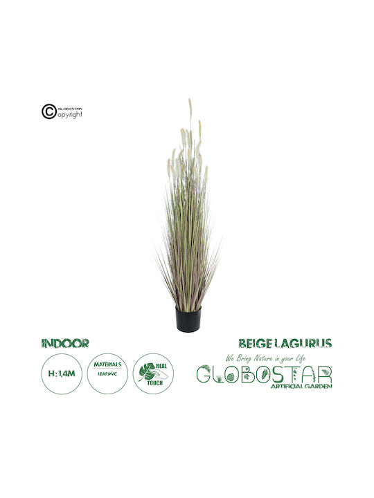 Globostar Künstlicher Garten Beige Lagurus 21102 Dekorative Pflanze Beige Lagurus H140cm