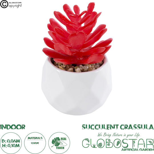 Globostar? Artificial Garden Succulent Crassula 20985 Decorative Plant Succulent Crassula H10cm