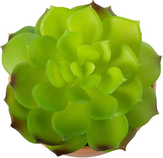Globostar? Artificial Garden Succulent Echeveria 21049 Διακοσμητικό Φυτό Παχύφυτο Εχεβέρια Υ14cm
